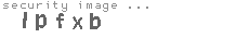 security image