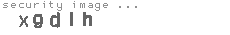 security image