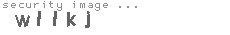 security image