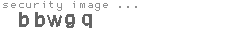 security image