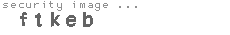security image