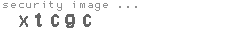 security image