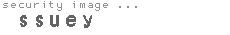 security image