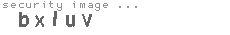 security image