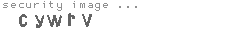 security image