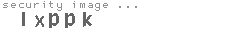 security image