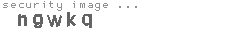 security image