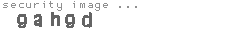 security image