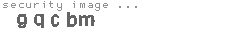 security image