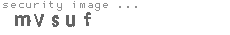 security image