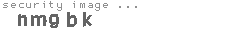 security image