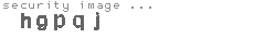 security image