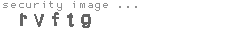 security image