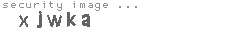 security image