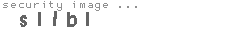 security image