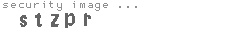 security image