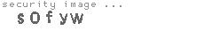 security image