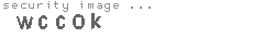 security image