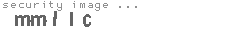 security image