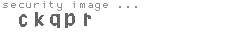 security image