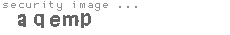 security image