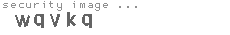 security image