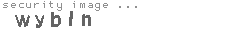 security image