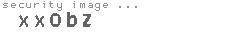 security image