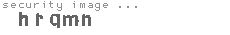 security image