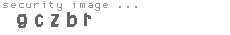 security image