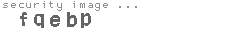 security image