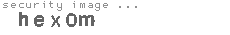 security image