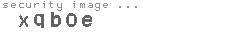 security image