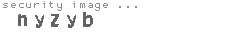 security image