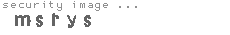 security image
