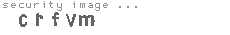 security image