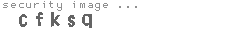 security image