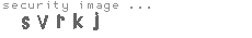 security image
