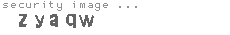 security image