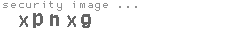 security image
