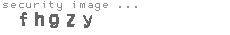 security image