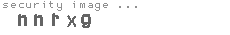 security image