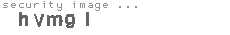 security image