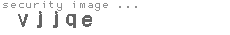 security image