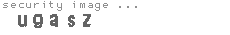 security image