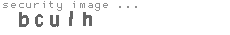 security image