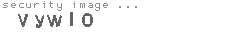 security image