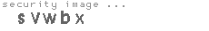 security image