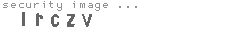 security image