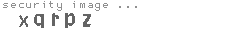 security image